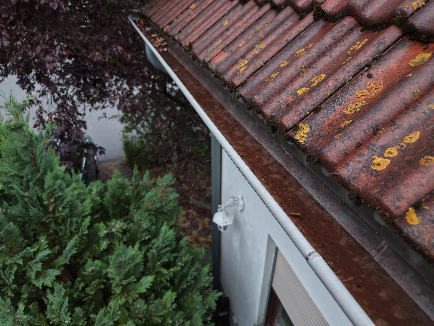 Blick von oben in eine schwer einsehbare Dachrinne mit Ablagerungen entlang der Ziegeldachkante